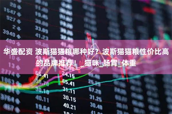 华盛配资 波斯猫猫粮哪种好？波斯猫猫粮性价比高的品牌推荐！_猫咪_肠胃_体重