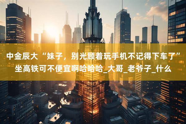 中金辰大 “妹子，别光顾着玩手机不记得下车了”坐高铁可不便宜啊哈哈哈_大哥_老爷子_什么