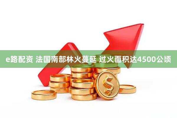 e路配资 法国南部林火蔓延 过火面积达4500公顷