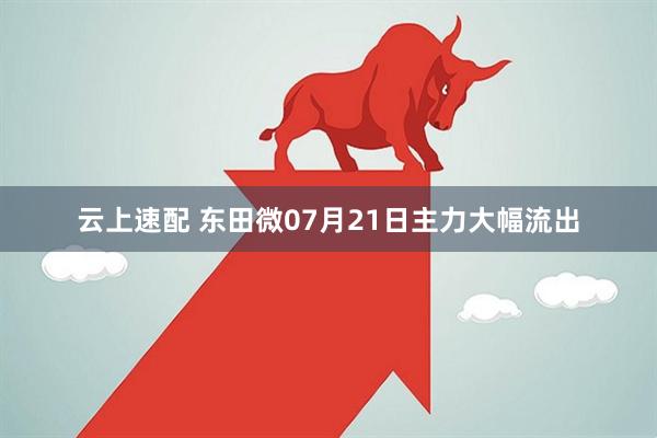 云上速配 东田微07月21日主力大幅流出