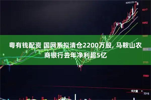 粤有钱配资 国网系拟清仓2200万股, 马鞍山农商银行去年净利超5亿