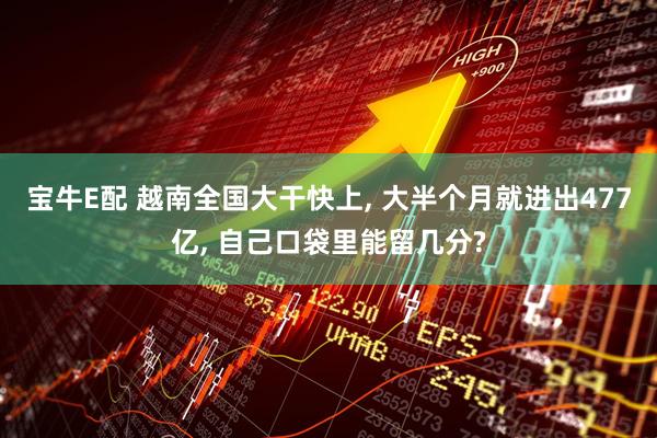 宝牛E配 越南全国大干快上, 大半个月就进出477亿, 自己口袋里能留几分?