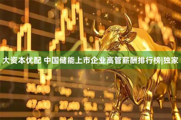 大资本优配 中国储能上市企业高管薪酬排行榜|独家